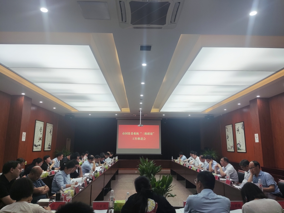 2024年7月17日，市國資委系統(tǒng)在公司開展“三組聯(lián)建”現(xiàn)場觀摩（推進(jìn)會(huì)）_副本